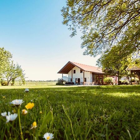 Sonnenblumenhof Vendégház Mühlheim Kültér fotó