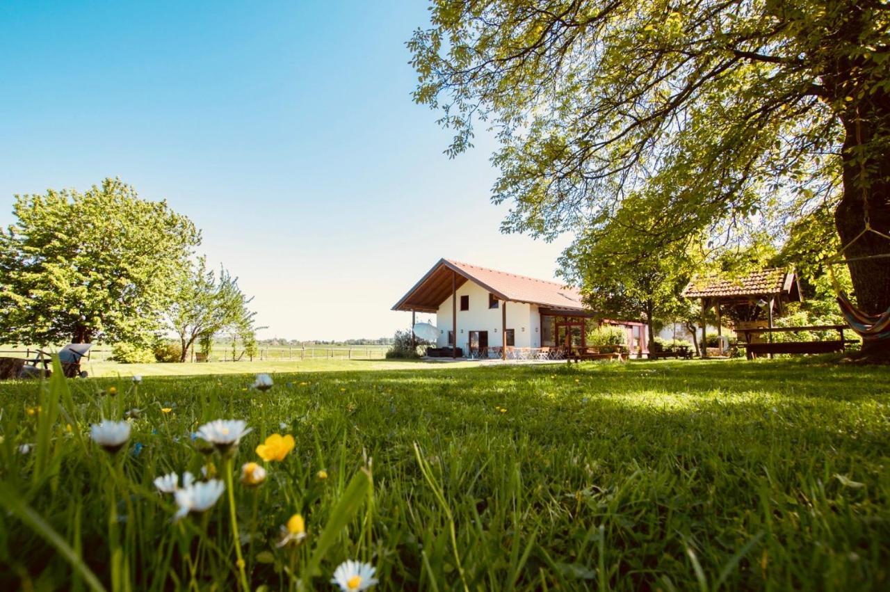Sonnenblumenhof Vendégház Mühlheim Kültér fotó